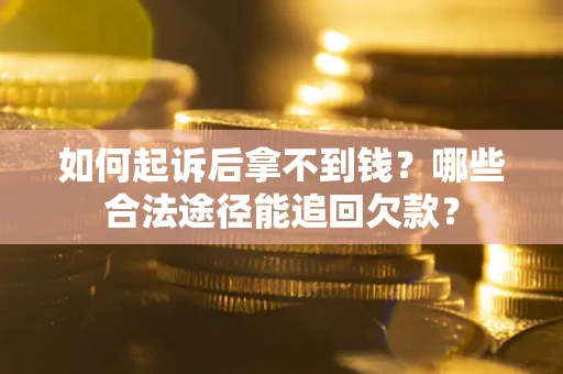 武汉如何起诉后拿不到钱？哪些合法途径能追回欠款？