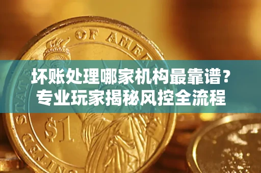 武汉坏账处理哪家机构最靠谱？专业玩家揭秘风控全流程