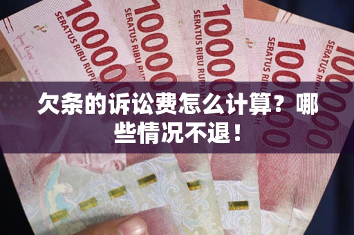 武汉欠条的诉讼费怎么计算？哪些情况不退！