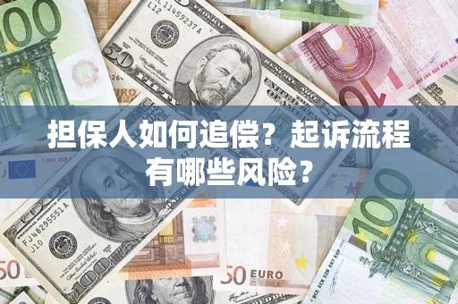 武汉担保人如何追偿？起诉流程有哪些风险？