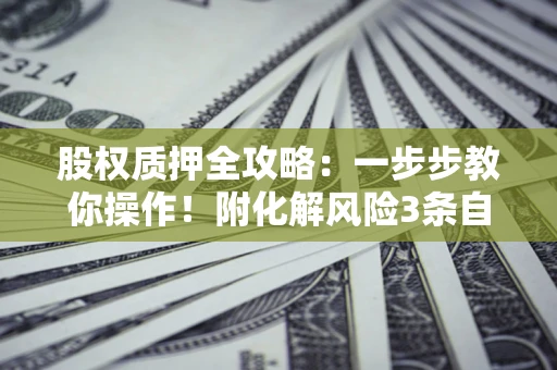 武汉股权质押全攻略：一步步教你操作！附化解风险3条自救法则