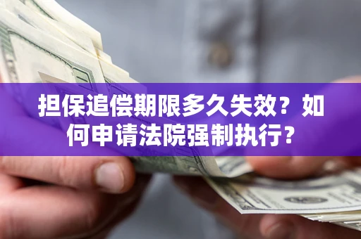武汉担保追偿期限多久失效？如何申请法院强制执行？