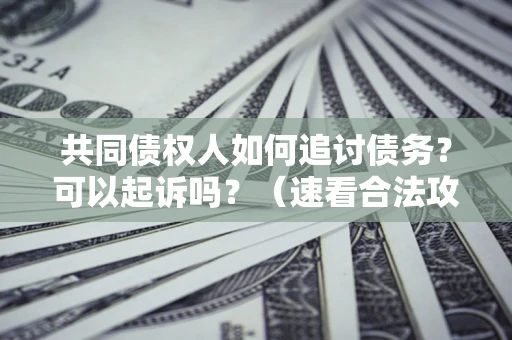 武汉共同债权人如何追讨债务？可以起诉吗？（速看合法攻略）