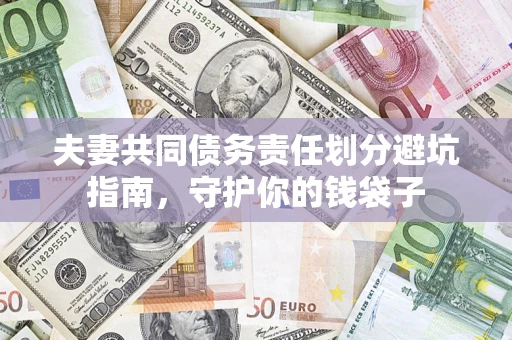 武汉夫妻共同债务责任划分避坑指南，守护你的钱袋子