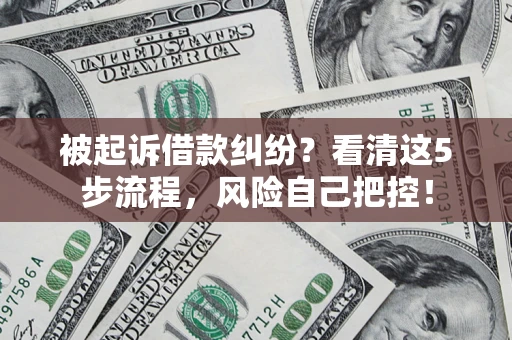 武汉被起诉借款纠纷？看清这5步流程，风险自己把控！