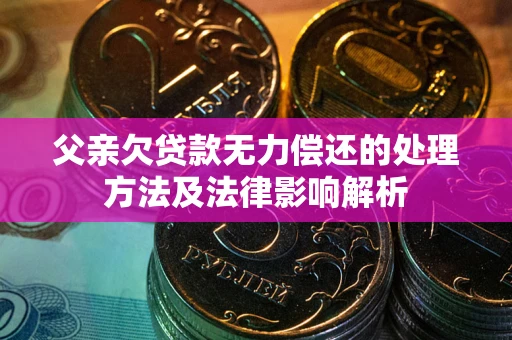 武汉父亲欠贷款无力偿还的处理方法及法律影响解析