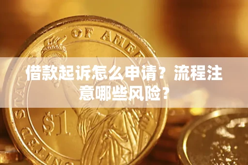 武汉借款起诉怎么申请？流程注意哪些风险？