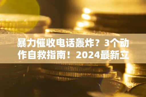 武汉暴力催收电话轰炸？3个动作自救指南！2024最新立案标准全解析