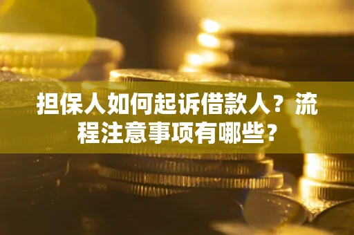 武汉担保人如何起诉借款人？流程注意事项有哪些？